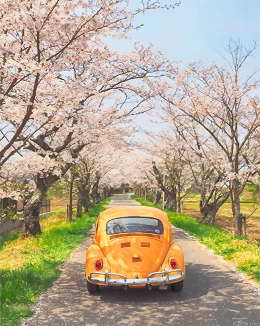 Yellow Vw And Cherry Blossom New Paint By Numbers.png