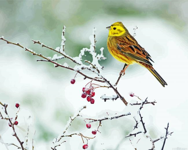 Yellowhammer Bird In Winter Paint By Numbers.png