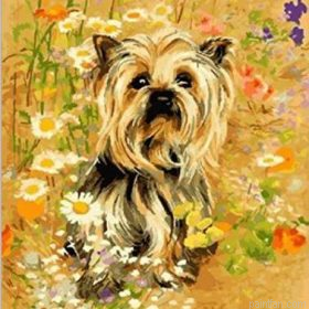 Yorkshire Dog Paint By Numbers.png