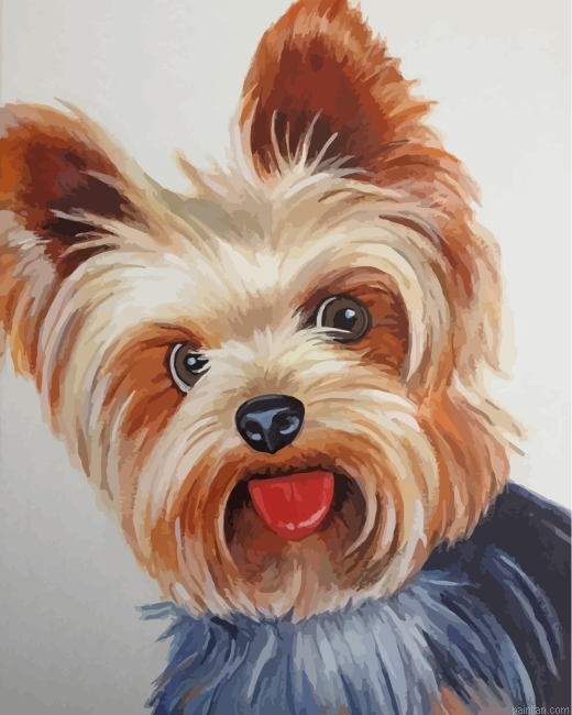 Yorkshire Terrier Dog Paint By Number.png