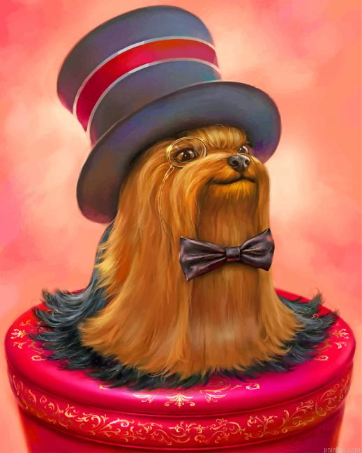 Yorkshire Terrier In Hat Paint By Number.png