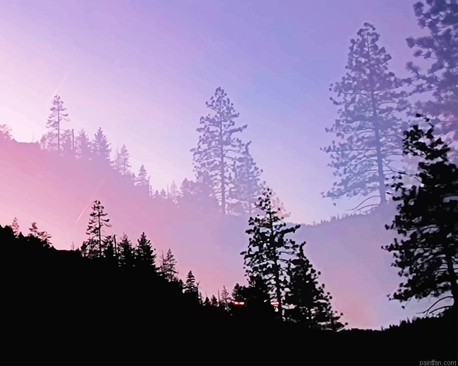 Yosemite Valley Trees Silhouette New Paint By Numbers.png