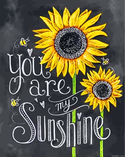 You Are My Sunshine Paint By Number.png