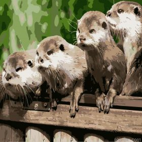 Young Otters Paint By Numbers.png