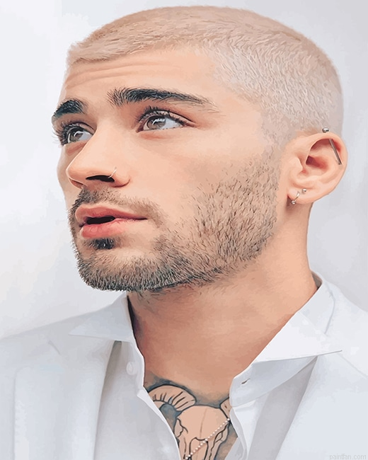 Zayn Malik New Look New Paint By Numbers.png