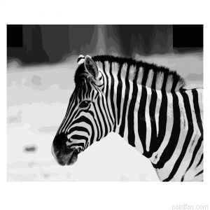 Zebra Animal Paint By Numbers.png