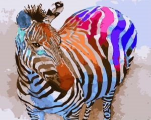 Zebra Animals Paint By Numbers.png
