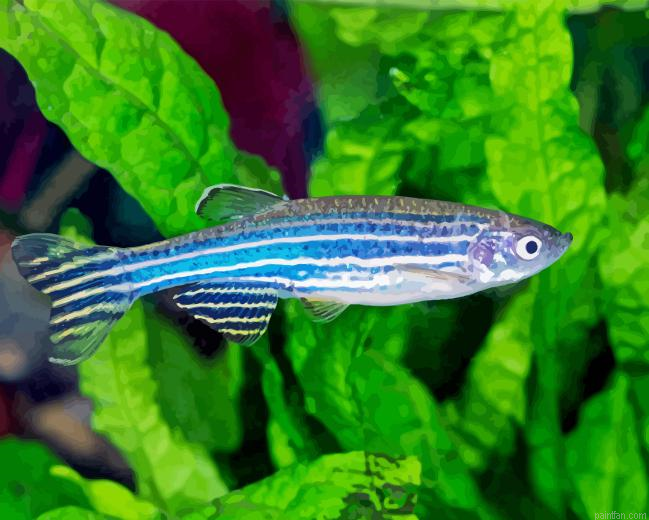 Zebrafish Paint By Numbers.png