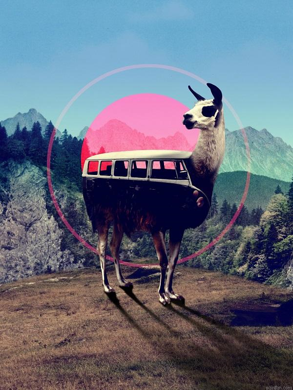 Llama Car Paint By Numbers.png