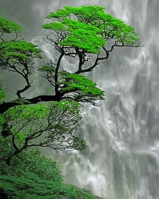 Trees Waterfall New Paint By Numbers.png
